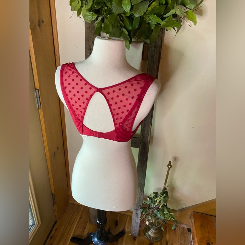 💕Victoria’s Secret Padded Plunge Swiss Dot Double Velour Strap Bra💕 NWOT